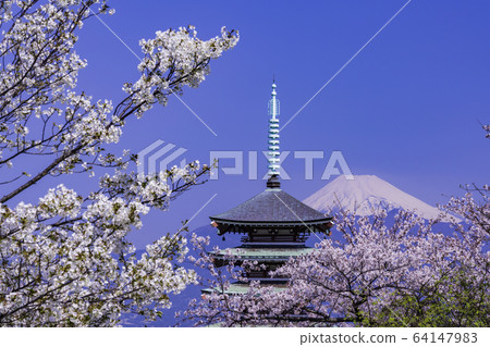 (靜岡縣) (靜岡縣) 64147983
