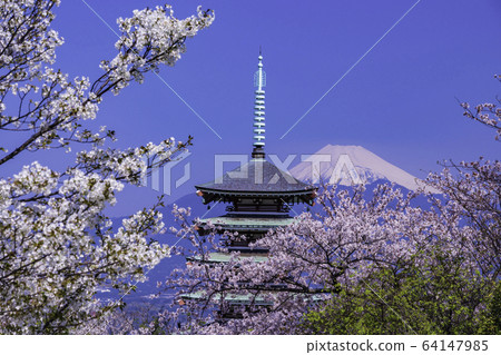 (靜岡縣) (靜岡縣) 64147985