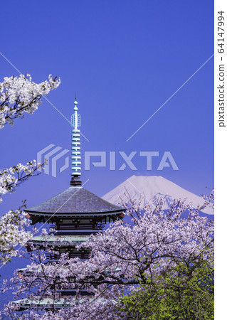 (Shizuoka Prefecture) Mt. (Shizuoka Prefecture) Mt. 64147994
