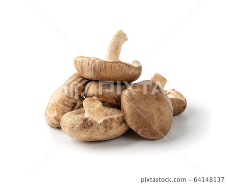 Fresh Shiitake Mushrooms, Raw Shitake, Healthy Fresh Shiitake Mushrooms, Raw Shitake, Healthy 64148137