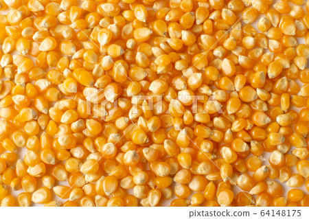 Heap of Raw Popcorn Grains Isolated on White 64148175