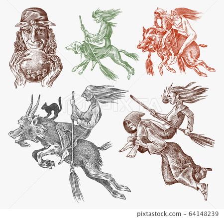 Witch flies with a broom and a dog, a goat and a boar. Ancient mythical Magic characters set 64148239