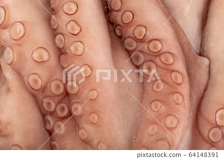 Macro Shot of Whole Frozen Octopus with Big 64148391