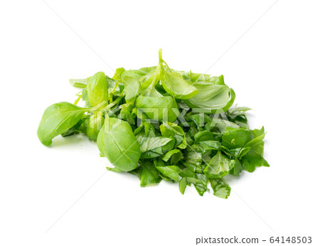 Fresh Green Chopped Basil Leaves Isolated on White 64148503