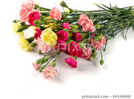 Fresh Carnation Flower Bouquet Dianthus or 64148600