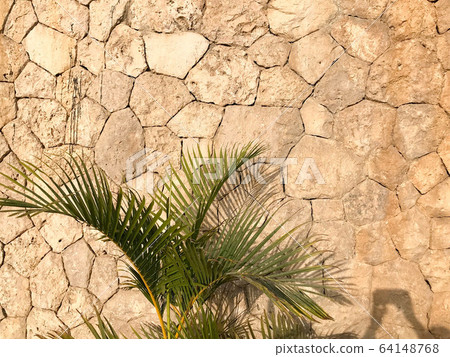 The texture of the wall is made up of beautiful The texture of the wall is made up of beautiful 64148768