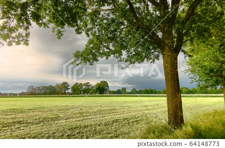 The coming of a big storm, tempest or hurricane over the countryside landscape. The coming of a big storm, tempest or hurricane over the countryside landscape. 64148773
