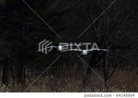 Flight cranes 64148984