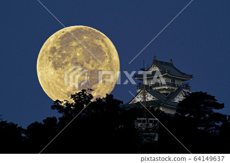 岐阜城堡和月亮 64149637