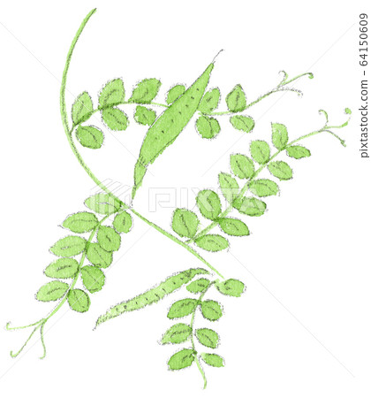 Karasuno peas Karasuno peas 64150609