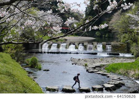 人們在岩屋公園過河 人們在岩屋公園過河 64150626