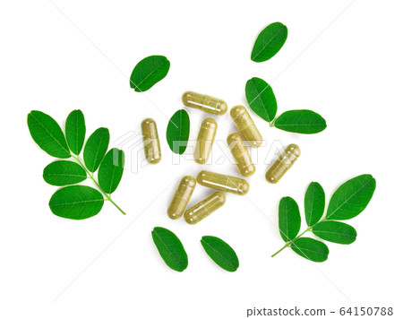 moringa leaves isolated on white background moringa leaves isolated on white background 64150788