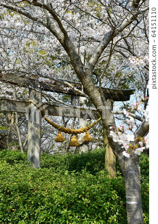 高砂公園常滑 高砂公園常滑 64151110