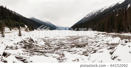 Beautiful Aerial View of Drift Wood by the frozen lake 64152092