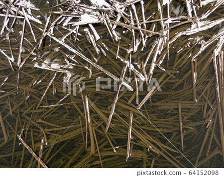 Beautiful Aerial View of Drift Wood by the frozen lake Beautiful Aerial View of Drift Wood by the frozen lake 64152098