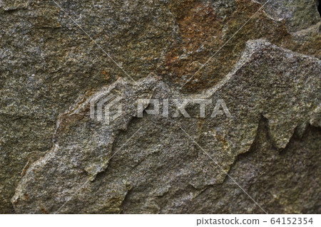 Rough rough skin Rough rough skin 64152354