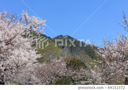 `` Torii in the sky '' of the main shrine looking up from Takamiya Shrine in full bloom of cherry blossoms, Shimomiya approach 64152372