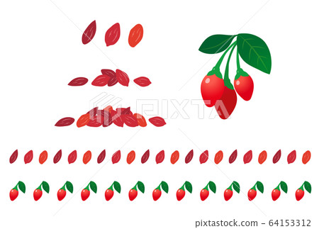 Wolfberry Wolfberry 64153312
