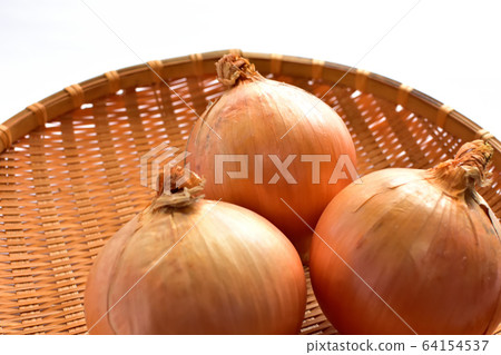 onion  64154537
