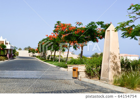 Beautiful park with tropical beautiful natural  64154754