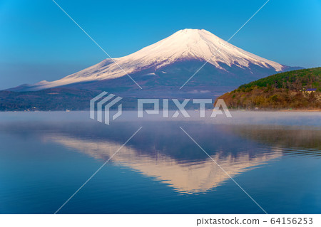 富士(五月(山中湖) 富士(五月(山中湖) 64156253