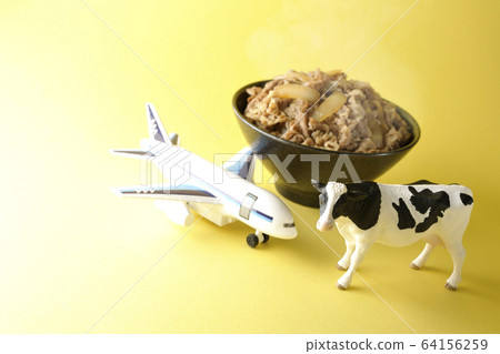 Imported meat 64156259