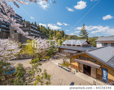 Arima Onsen where cherry blossoms are in full bloom 64156349