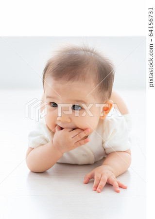 嬰兒 64156731