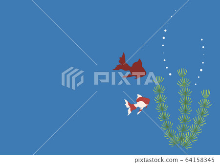 金魚和水生植物 64158345