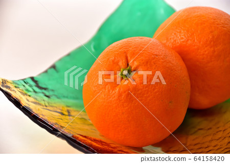 Dekopon and Iyokan 64158420