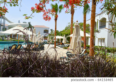 Swimming pool with clear blue water chaise  64158465