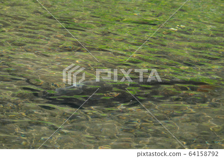 Quiet river texture material 64158792