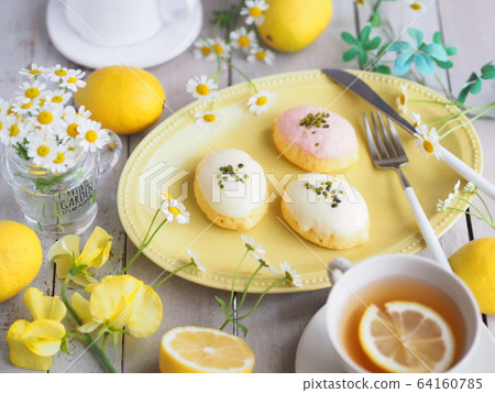Tea time with lemon cake 64160785