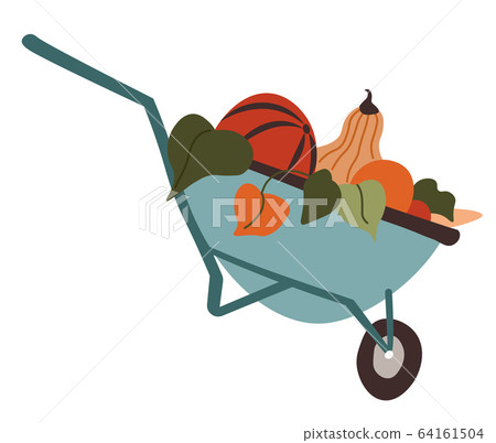 Wheelbarrow filled with ripe fruits of autumn harvesting Wheelbarrow filled with ripe fruits of autumn harvesting 64161504