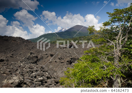 Solidified lava field and Llaima volcano covered by clouds. Solidified lava field and Llaima volcano covered by clouds. 64162473