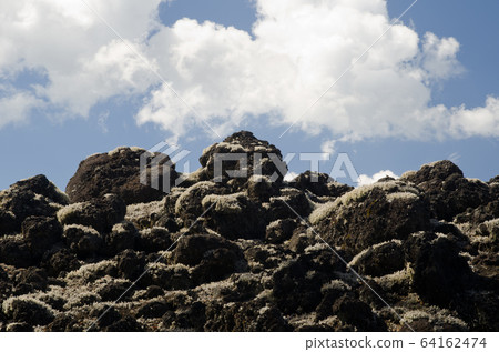 Field of solidified lava covered by lichens and clouds. Field of solidified lava covered by lichens and clouds. 64162474
