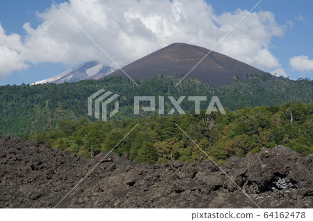 Fields of solidified lava, forest and Llaima volcano covered by clouds. 64162478