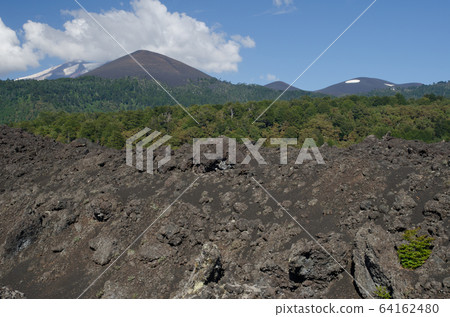 Fields of solidified lava, forest and Llaima volcano covered by clouds. Fields of solidified lava, forest and Llaima volcano covered by clouds. 64162480
