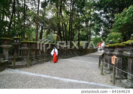From Kasuga Taisha 64164629