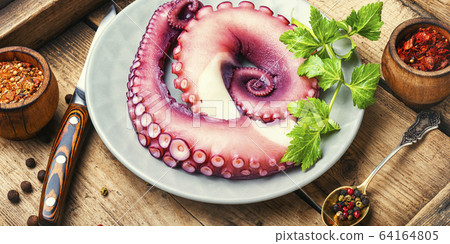 Raw octopus on wooden table Raw octopus on wooden table 64164805
