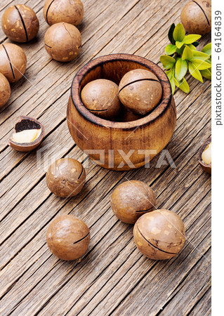 Nuts of macadamia integrifolia Nuts of macadamia integrifolia 64164839