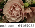 Flowers 64165082