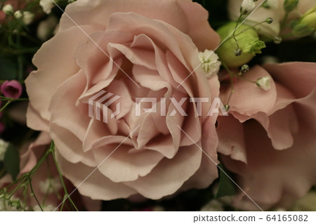 花 花 64165082