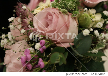 花 花 64165084