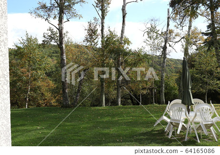 A garden A garden 64165086