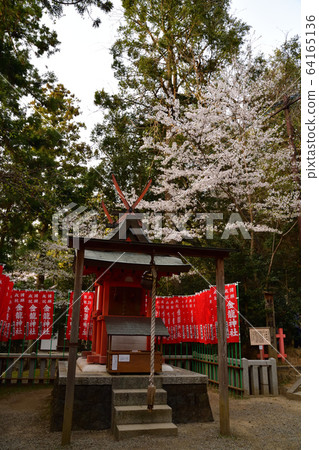 From Kasuga Taisha 64165136