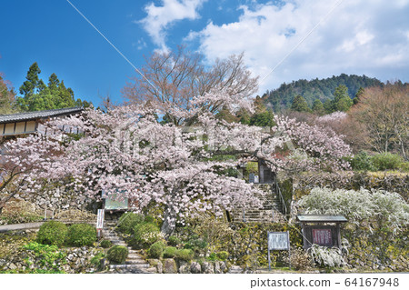 [Baekji Temple] Baekjeji Town, Higashiomi City, Shiga Prefecture 64167948