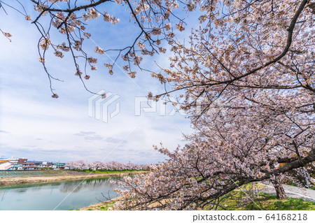 宮城縣藍天和市千千本櫻小川原町 宮城縣藍天和市千千本櫻小川原町 64168218