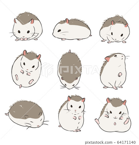 Roborovsky hamster Roborovsky hamster 64171140