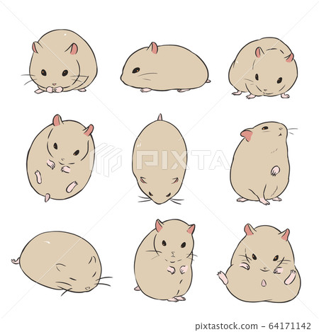 Kinka hamster 64171142